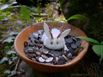 White Bunnicorn exploring a plate of horn buttons